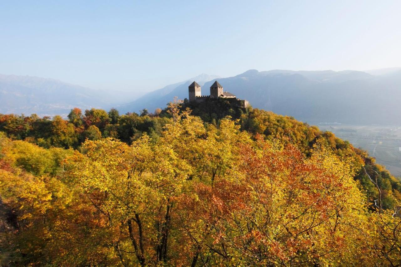 Panoramic Suites Winzerhoehe Schenna Εξωτερικό φωτογραφία